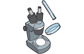 ���j�P�ʋ�WB21�����Q