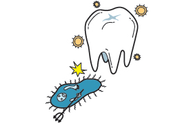 ���j�������Ƌۂ̊֌W�P